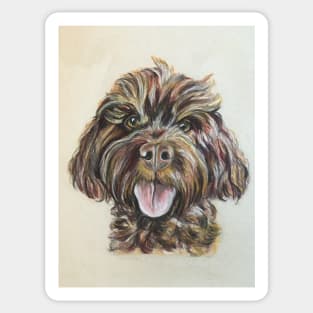 Brown Cockerpoo Sticker